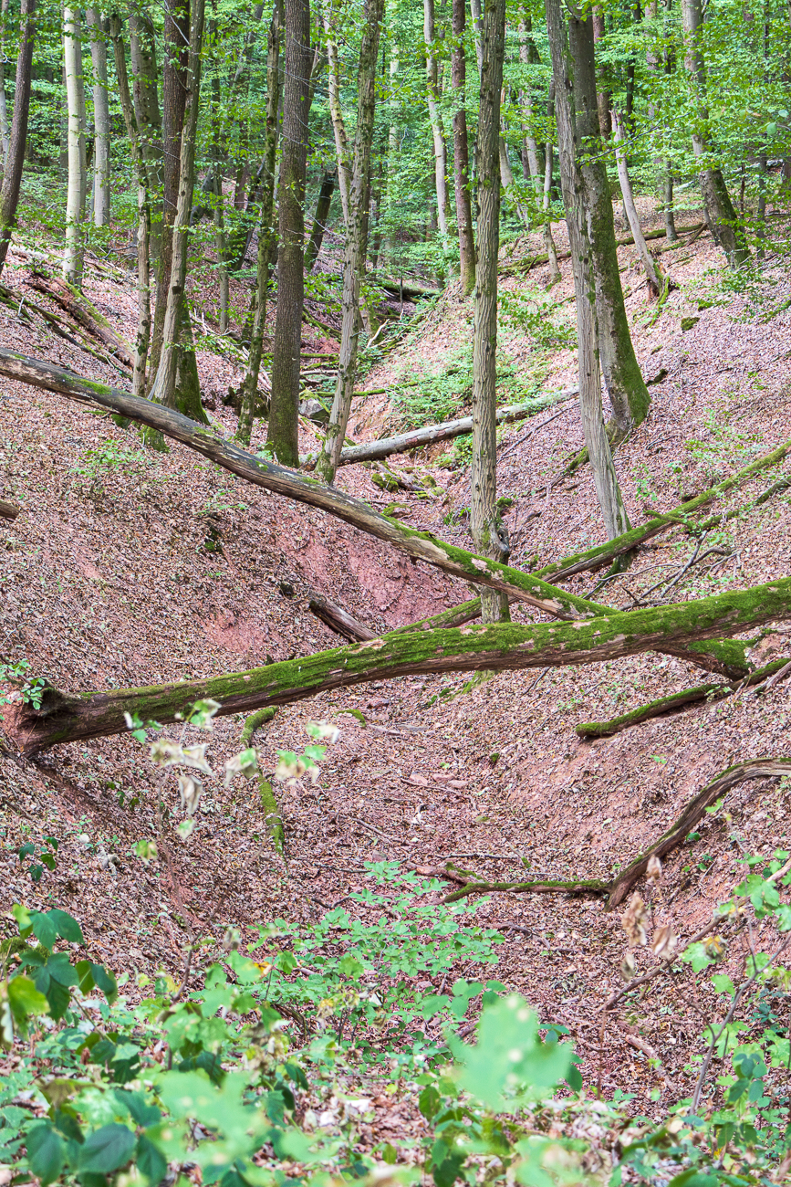 Ausgetrockneter Bachlauf