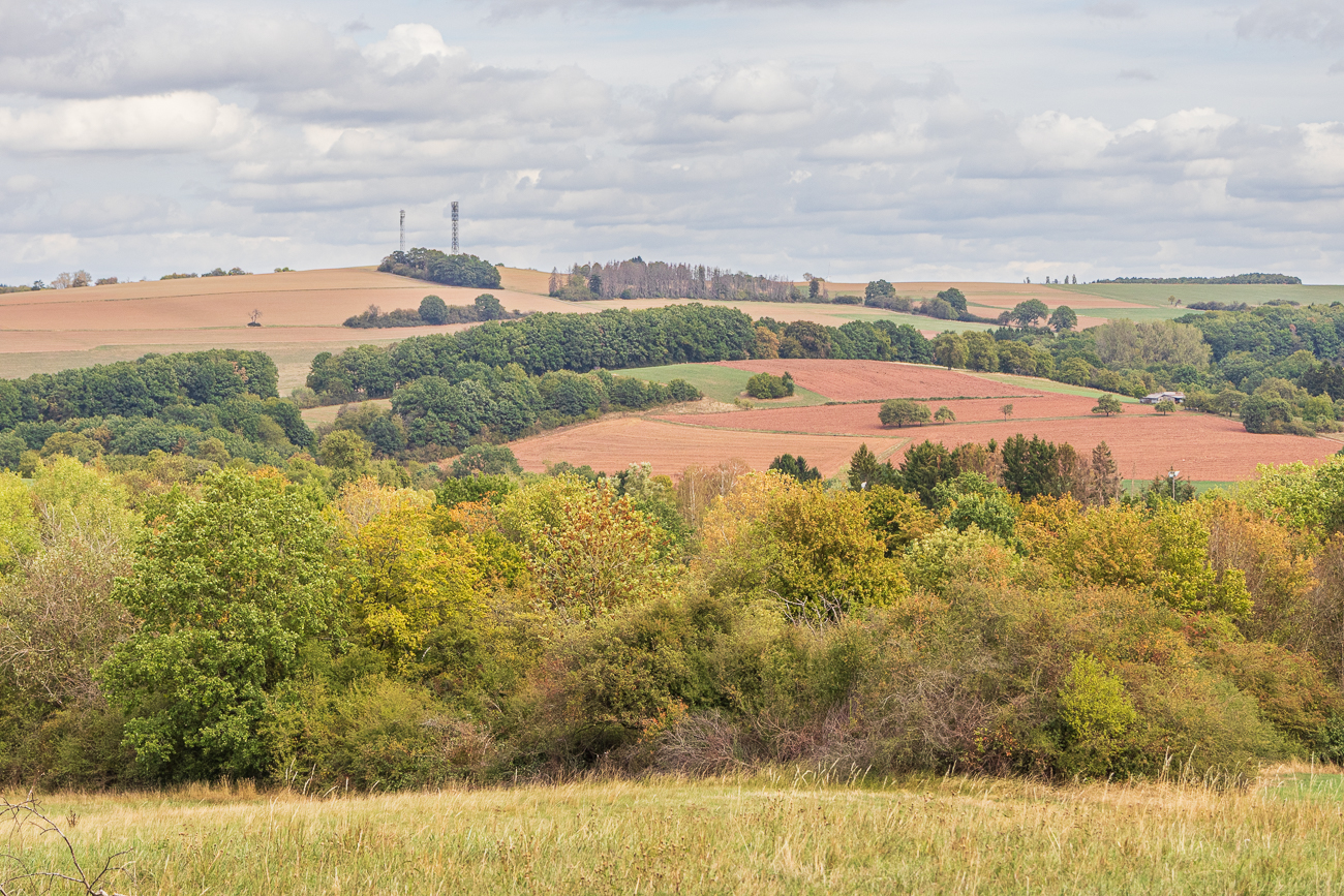 Blick in die Landschaft